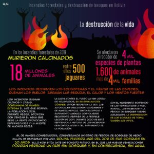 Infografía incendios en Bolivia5